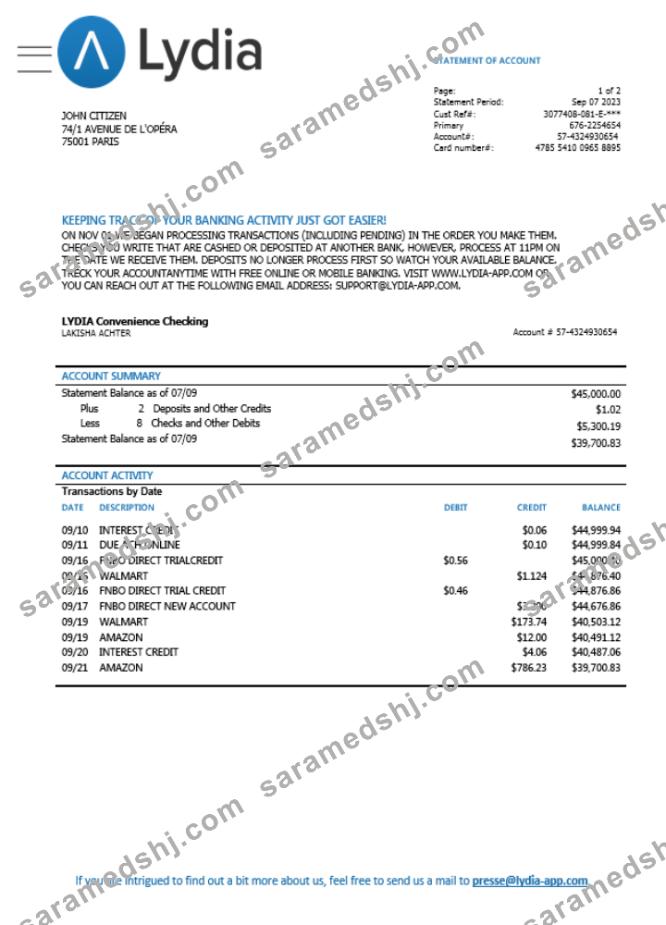 France Lydia Noir bank card statement Word and PDF template scr